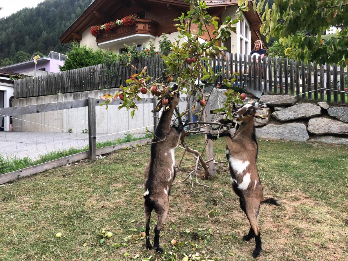 Jedlerhof * Neustift im Stubaital